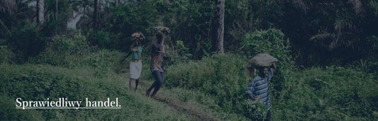 Organiczny olejek regenerujący Róża z Jojobą, do skóry i włosów, Zero Waste, 100 ml, Eliah Sahil